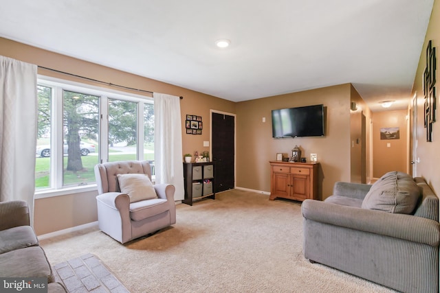 11 Solar Dr, New Providence, PA 17560 - living room with baseboards, light colored carpet, and a healthy amount of sunlight
