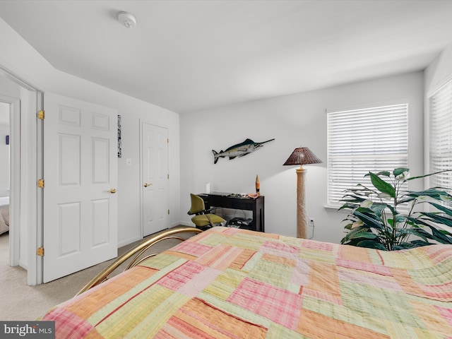 bedroom featuring carpet floors