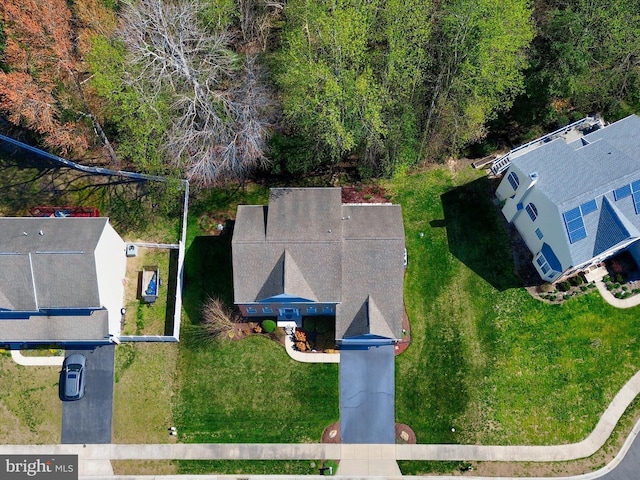 drone / aerial view