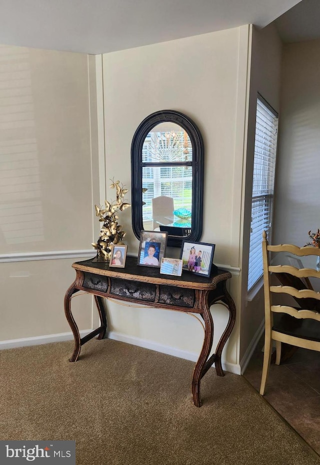 room details with baseboards and carpet floors