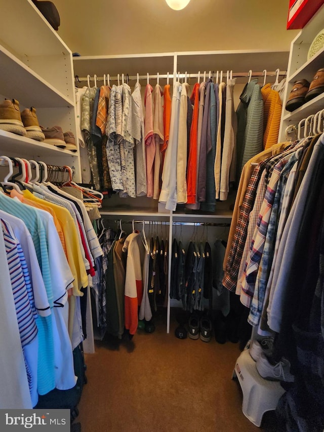 spacious closet with carpet