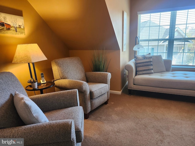 sitting room featuring carpet floors and a wealth of natural light