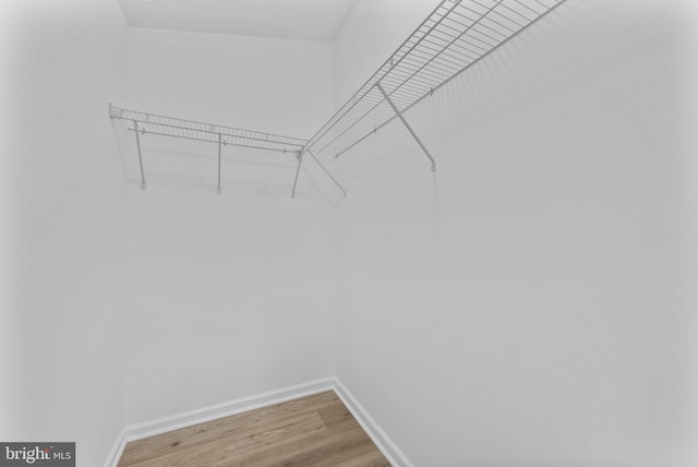 spacious closet with wood finished floors