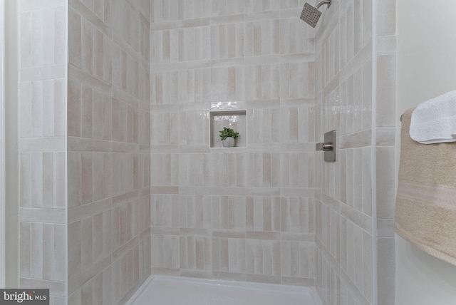 room details with tiled shower