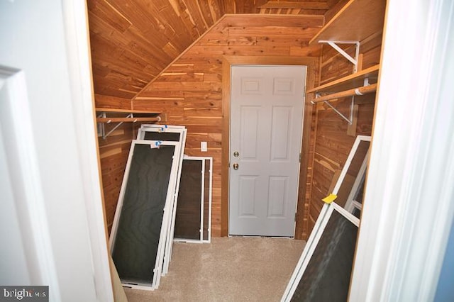 712 Riverside Pines Ct, Salisbury, MD 21801 - walk in closet with lofted ceiling and carpet floors