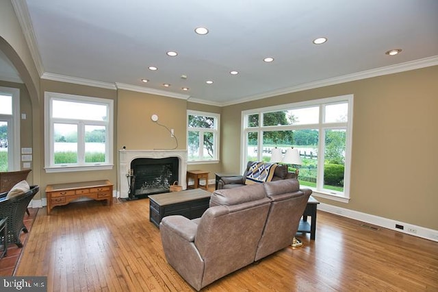 712 Riverside Pines Ct, Salisbury, MD 21801 - living area featuring a fireplace, ornamental molding, light wood-style flooring, recessed lighting, and baseboards