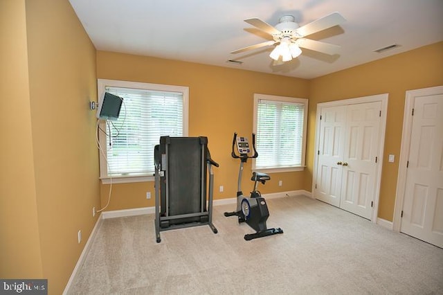 712 Riverside Pines Ct, Salisbury, MD 21801 - exercise room featuring healthy amount of natural light, carpet, ceiling fan, and baseboards