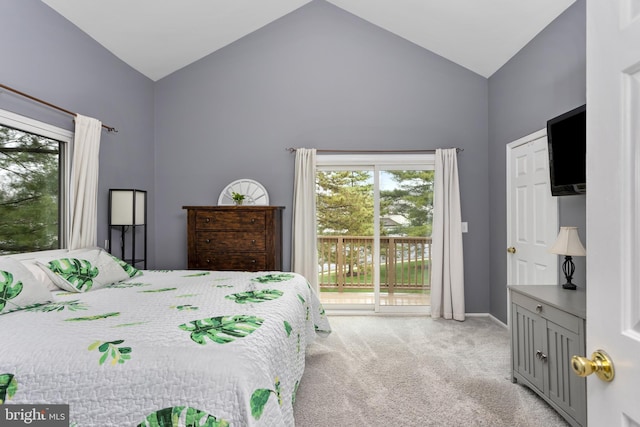 14 Cedar Ct, Flemington, NJ 08822 - bedroom featuring high vaulted ceiling, access to outside, light carpet, multiple windows, and baseboards