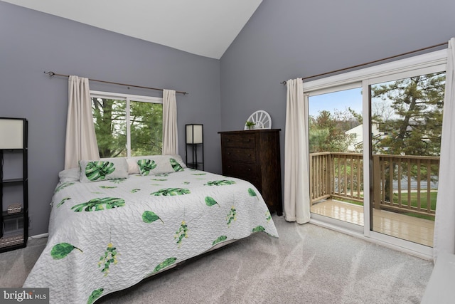 14 Cedar Ct, Flemington, NJ 08822 - carpeted bedroom featuring access to outside and high vaulted ceiling