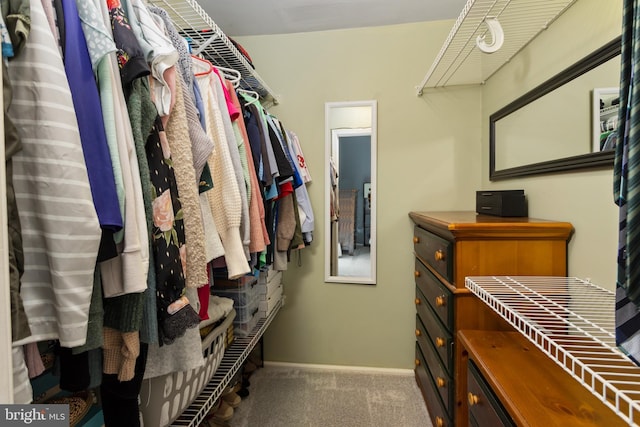 14 Cedar Ct, Flemington, NJ 08822 - walk in closet with carpet floors