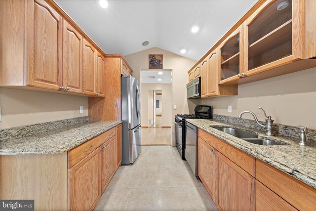 kitchen featuring appliances with stainless steel finishes, a sink, and light stone counters