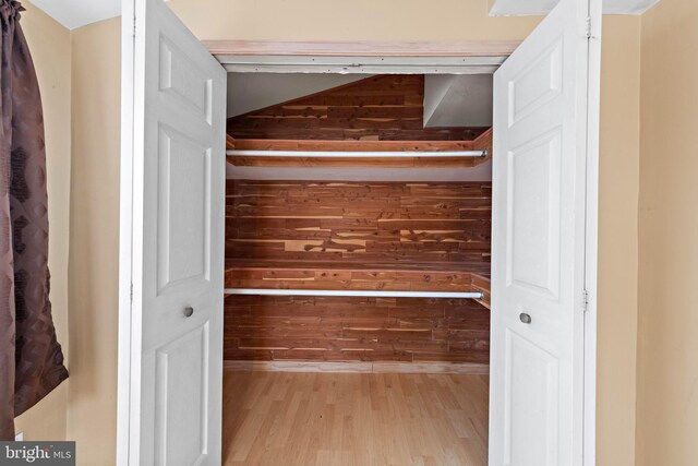 view of closet