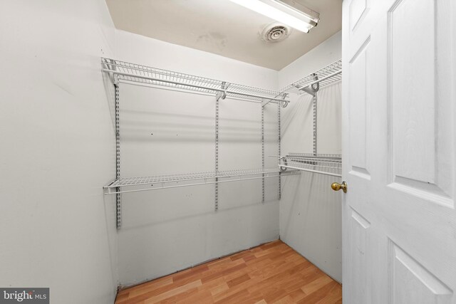 spacious closet featuring light wood-style flooring and visible vents