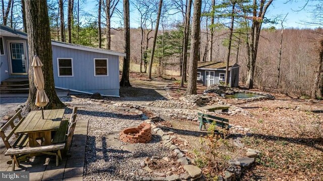 view of yard with a patio area, entry steps, an outdoor structure, and an outdoor fire pit