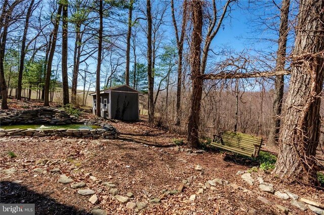view of yard with an outbuilding and a shed