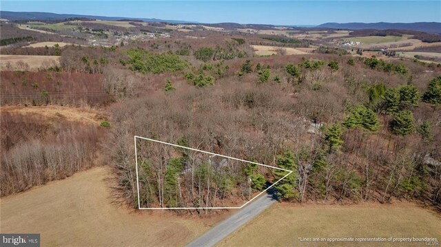 bird's eye view featuring a rural view