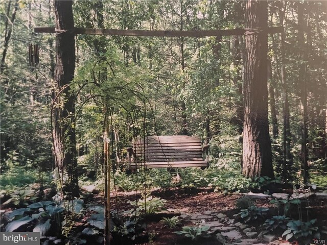 view of local wilderness featuring a wooded view
