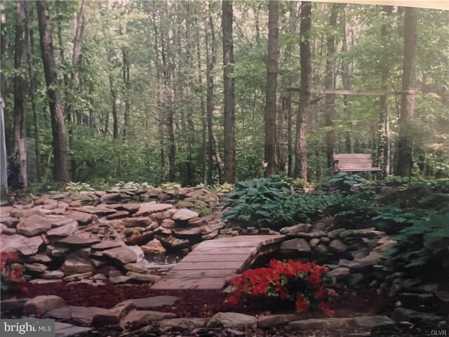 view of landscape featuring a forest view