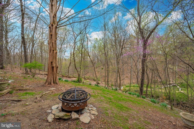 view of yard with a fire pit