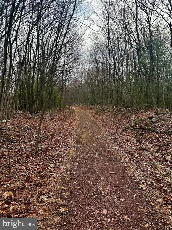 E Mountain Top Rd, Summit Hill, PA 18250
