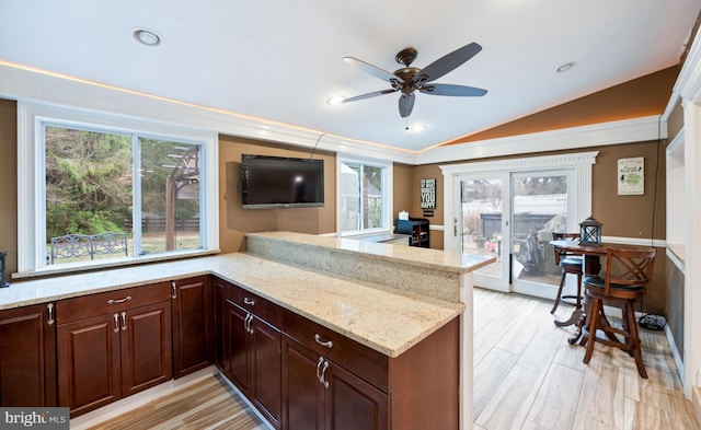 kitchen with light stone countertops, vaulted ceiling, a healthy amount of sunlight, and a ceiling fan