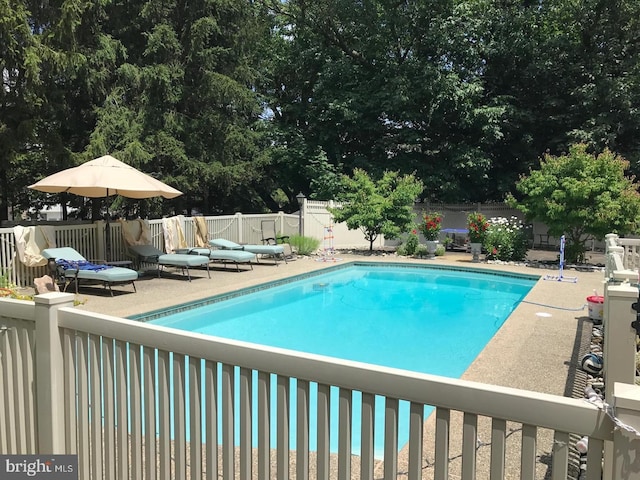 view of swimming pool featuring a fenced backyard and a fenced in pool