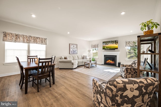 dining space featuring a glass covered fireplace, plenty of natural light, and wood finished floors
