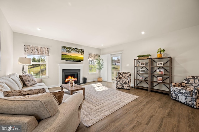 living area featuring plenty of natural light, a lit fireplace, baseboards, and wood finished floors