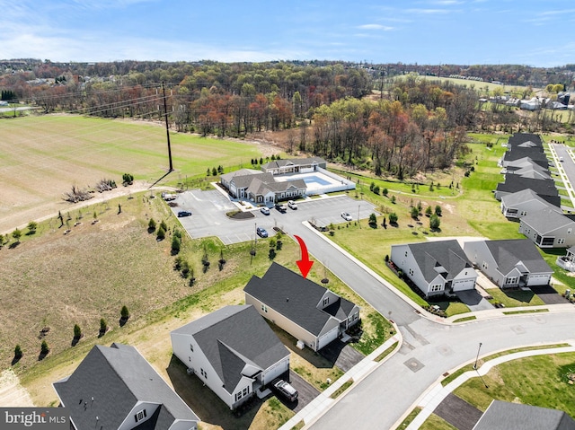 drone / aerial view