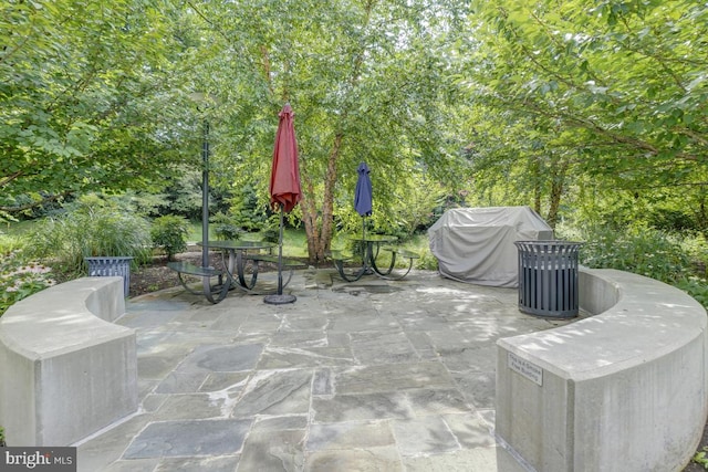view of patio / terrace featuring a grill