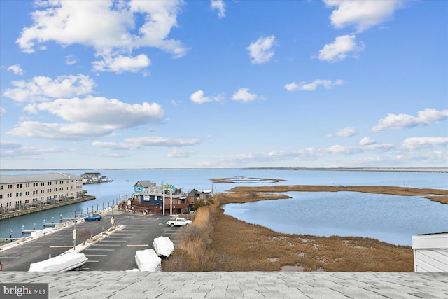 5401 Coastal Hwy Unit 306, Ocean City, MD 21842 - property view of water