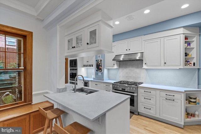 kitchen featuring stainless steel appliances, ornamental molding, a sink, open shelves, and under cabinet range hood