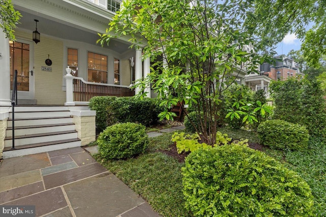 entrance to property featuring covered porch