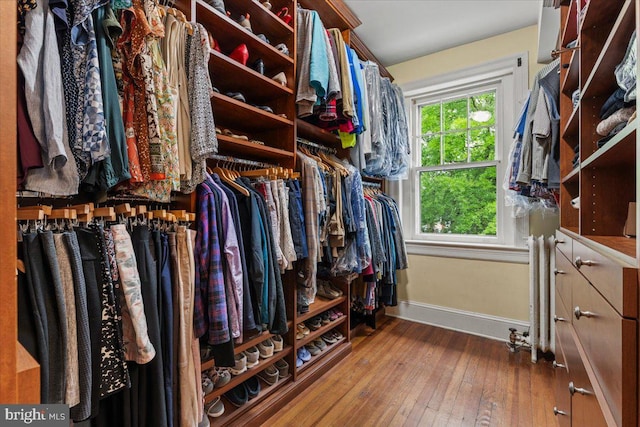 walk in closet featuring hardwood / wood-style floors
