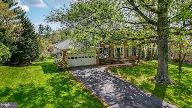 obstructed view of property with brick siding, a front lawn, driveway, and a garage
