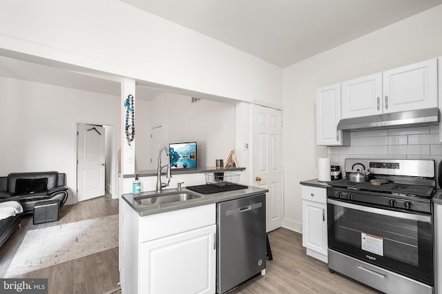 1529 E Berks St, Philadelphia, PA 19125 - kitchen with appliances with stainless steel finishes, under cabinet range hood, a sink, open floor plan, and backsplash