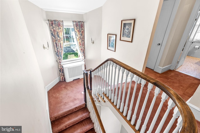 28 Ambler Rd, Cherry Hill, NJ 08002 - staircase with carpet flooring and baseboards