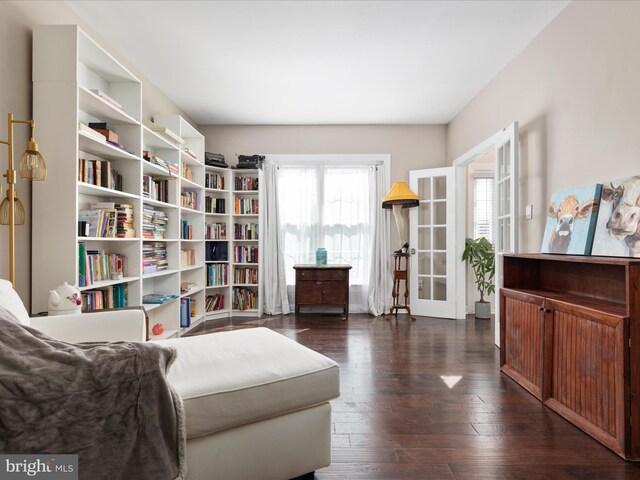 living area featuring dark wood-style flooring
