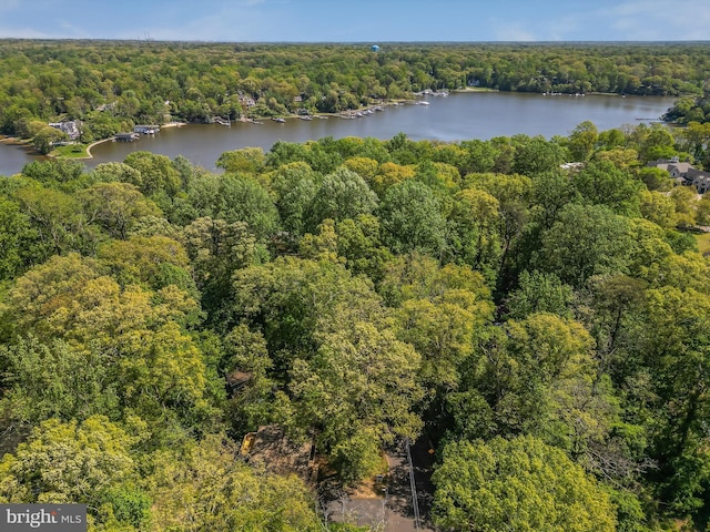 birds eye view of property featuring a water view and a wooded view