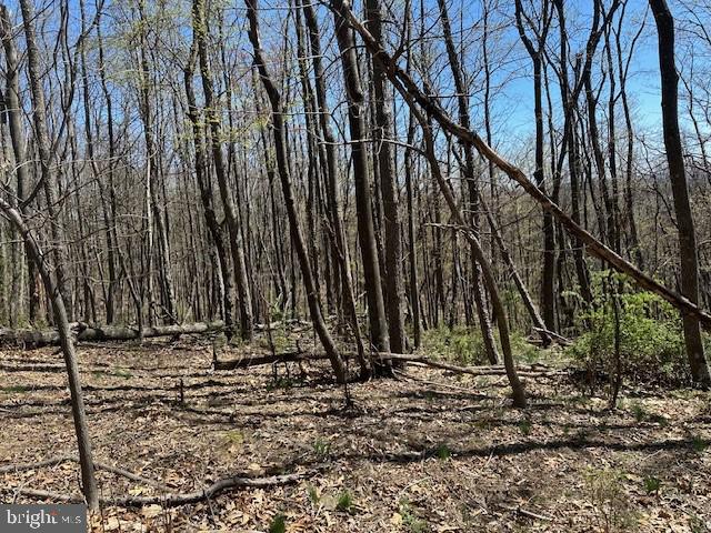 LOT30 Pear Ln, Romney, WV 26757