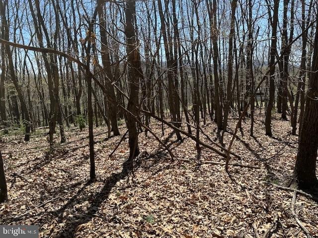 LOT30 Pear Ln, Romney, WV 26757