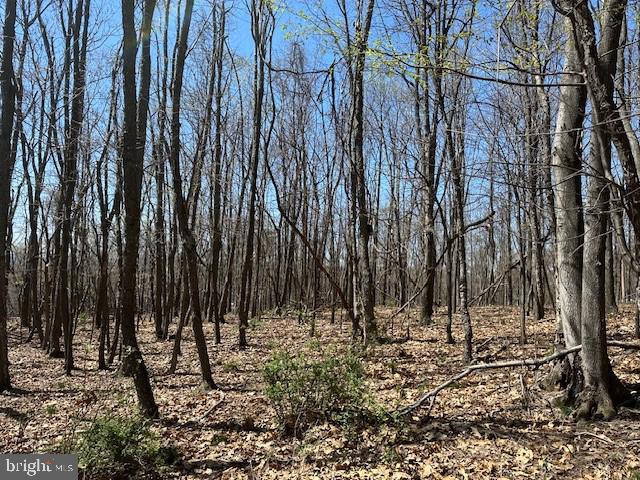 LOT30 Pear Ln, Romney, WV 26757