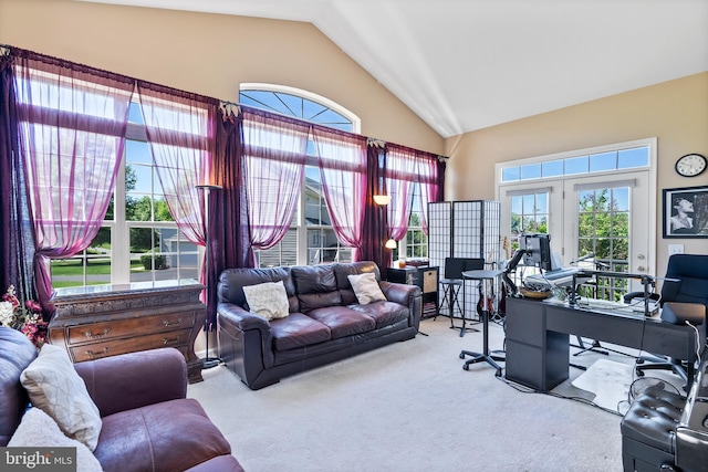 158 Mccormick Dr, Port Deposit, MD 21904 - home office featuring vaulted ceiling and carpet flooring