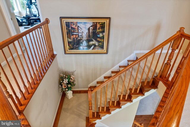 158 Mccormick Dr, Port Deposit, MD 21904 - staircase featuring carpet flooring