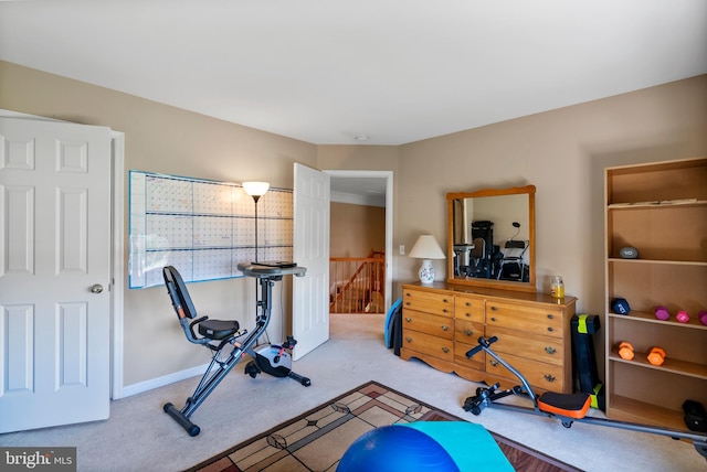 158 Mccormick Dr, Port Deposit, MD 21904 - workout room with carpet floors