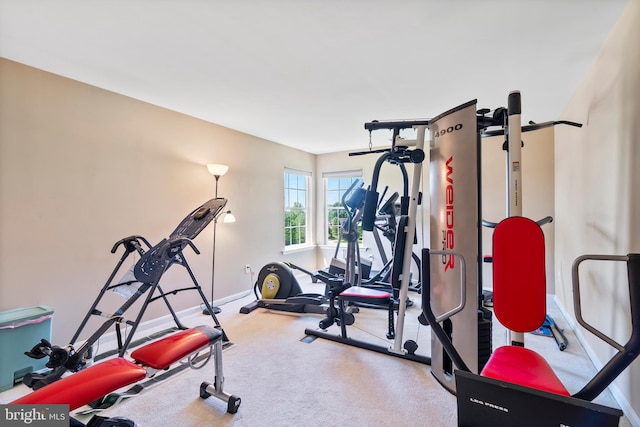 158 Mccormick Dr, Port Deposit, MD 21904 - workout area featuring baseboards and carpet floors