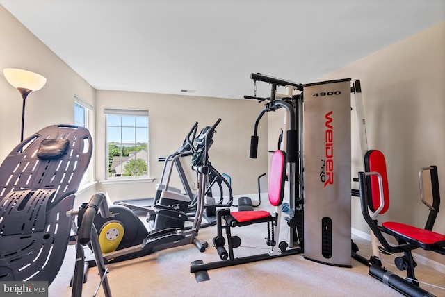 158 Mccormick Dr, Port Deposit, MD 21904 - workout area featuring carpet and baseboards