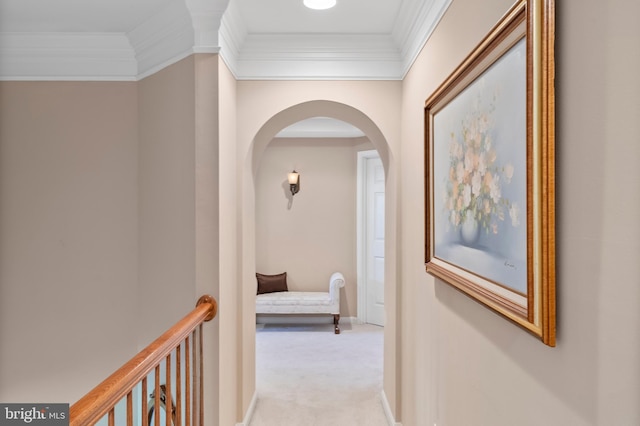 158 Mccormick Dr, Port Deposit, MD 21904 - hall featuring arched walkways, carpet floors, crown molding, and baseboards