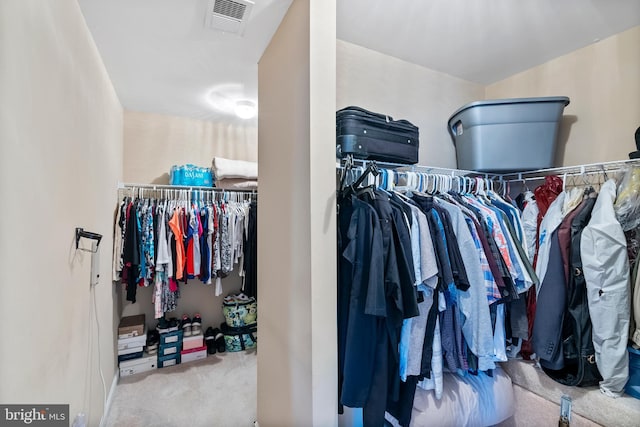 158 Mccormick Dr, Port Deposit, MD 21904 - spacious closet with carpet floors