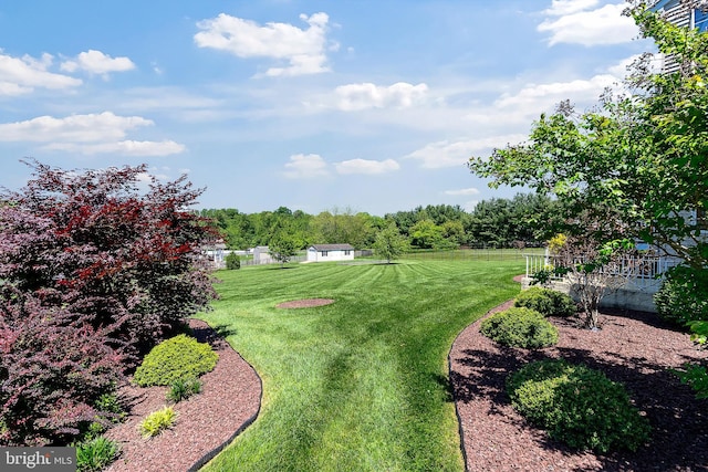 158 Mccormick Dr, Port Deposit, MD 21904 - view of yard